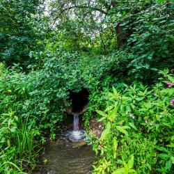 Фото Отель ФлайБокс Внуково