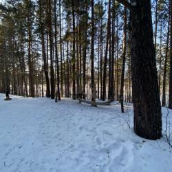 Фото Отель Лукоморье