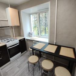 Фото Апартаменты на улице Радищева 18