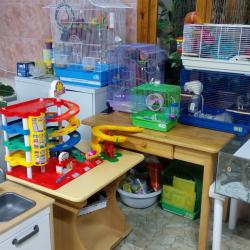 Фото Отель Семейный клуб Арго