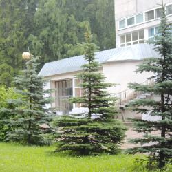 Фото Отель Пушкиногорье