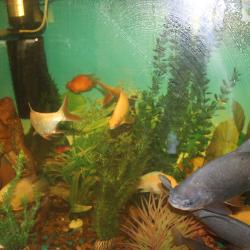 Фото Отель Алмаз