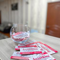 Фото Отель АндриАнна