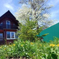 Фото Отель Уютный