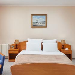 Апартаменты студия с 1 двуспальной кроватью