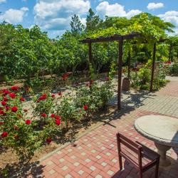 Фото Отель Альтернатива