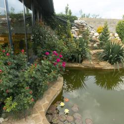 Фото Отель Dali (Дали)