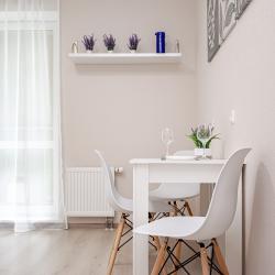 Апартаменты улучшенные Г.Пермь ул.Революции д.48б кв.24