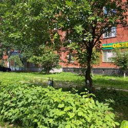 Фото Отель Easy Studio на улице Песочная 4Б
