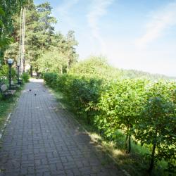 Фото Отель Лесная сказка