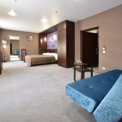 Стандарт №15