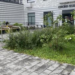 фото 2 Апартаменты CentralPointSpb (ЦентралПоинтСпб)