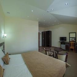 Фото Отель Alpina Resort by Stellar Hotels, Tsaghkadzor (Альпина Резорт от Стеллар Хотелс, )