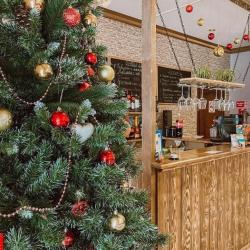 Фото Отель Аммонит