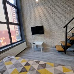 Апартаменты студия 214