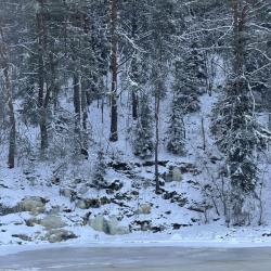 Фото Отель Дoм Oявoйc