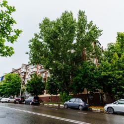 Фото Отель LetoApart (ЛетоАпарт) на улице Карла Маркса