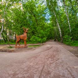 Апартаменты студия