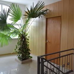 Фото Отель МарПоль