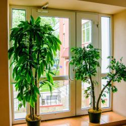 Эврика — acfbc0f12b088e1aa8c5f8e762ba9985