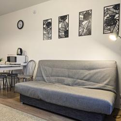 1-комнатные апартаменты стандарт №2