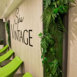 Фото SPA Hotel Vintage (СПА отель Винтаж)