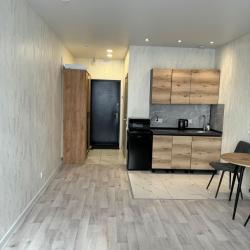 1-комнатные апартаменты студия Притомский пр-т 25 к 3 с 1 двуспальной кроватью