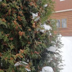 Фото Фитнес-Парк-Отель