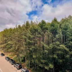 1-комнатные апартаменты стандарт