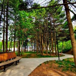 2-комнатные апартаменты улучшенные