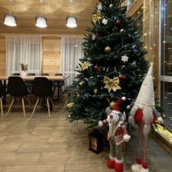 Фото Отель Сибирский Бор на улице Лесная 6