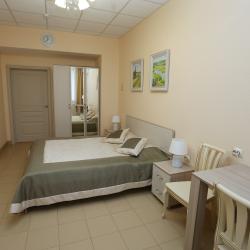 Номер стандарт с 1 двуспальной кроватью