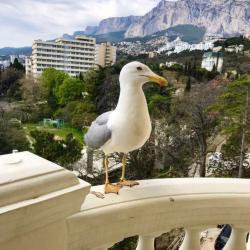 Фото Отель Дуэт