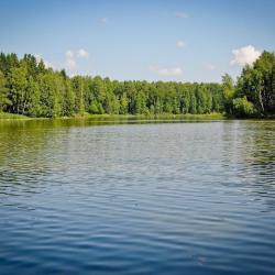 Фото Отель Дом Олива