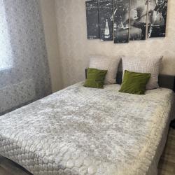 Фото Апартаменты на улице Летописца Нита Романова, 15