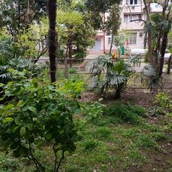 Фото Апартаменты на улице Роз 56