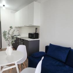 Фото Отель Runway Apartments на улице Мезенцева
