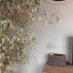 фото 29 Lime Boutique Hotel (Лайм Бутик Отель)