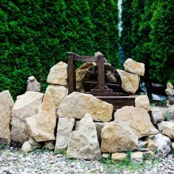 Фото Отель Золотой Гусь