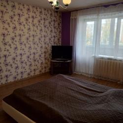 Фото Апартаменты Клондайк на улице имени М.С. Урицкого 19А