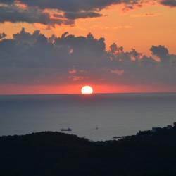 Фото Отель Дома в лесу