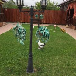 Фото Отель Алмаз