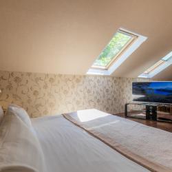 2-комнатный номер люкс с 1 двуспальной кроватью (мансарда) № 5