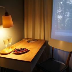 Фото Апартаменты на улице Белинского 218 корпус 2