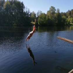 Фото Отель Гостевой комплекс Сосны