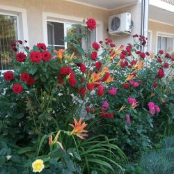 Фото Отель Пансионат Астерия