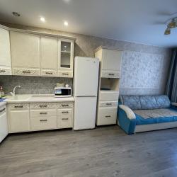 Фото Апартаменты President на улице Депутатская 69