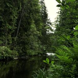 Фото Отель Йокихутор