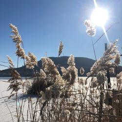Фото Отель Apreski Бунгало на Банном (Апрески)