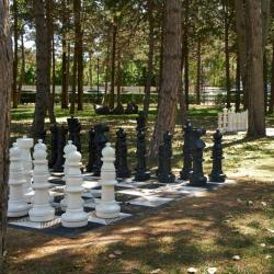 Фото Апартаменты в апарт-отеле Россиянка на проспекте Пионерский 20